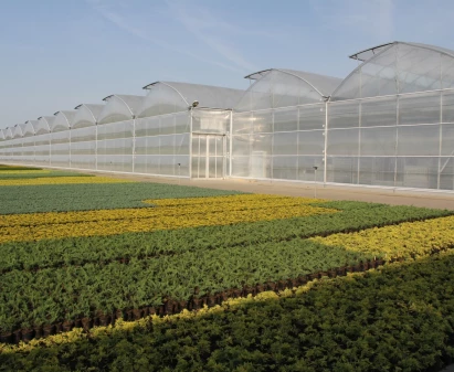 Řadové zahradní fóliovníky