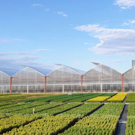 Řadové zahradní fóliovníky