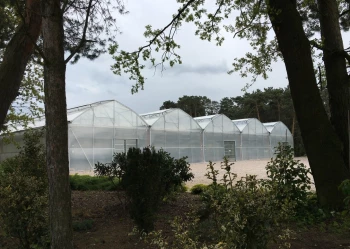 Radove zahradni foliovniky