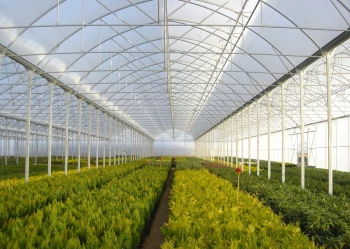 Radove zahradni foliovniky