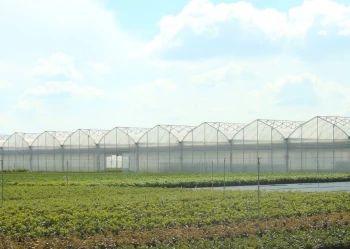 Radove zahradni foliovniky