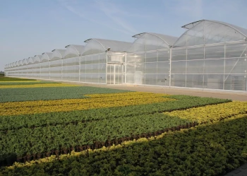 Radove zahradni foliovniky