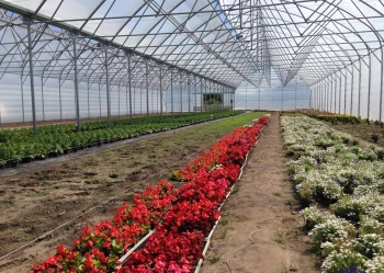 Radove zahradni foliovniky