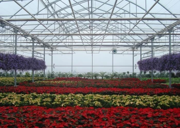 Radove zahradni foliovniky