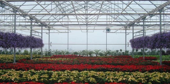 Radove zahradni foliovniky