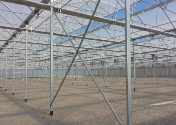 Radove zahradni foliovniky