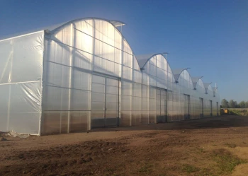 Radove zahradni foliovniky