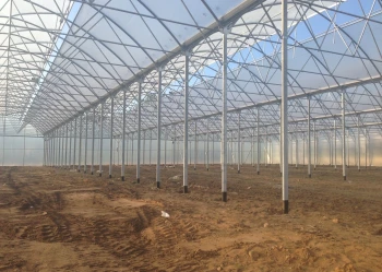 Radove zahradni foliovniky