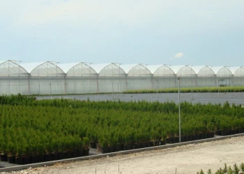 Radove zahradni foliovniky