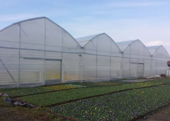 Radove zahradni foliovniky