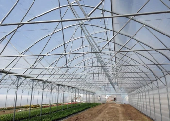 Radove zahradni foliovniky