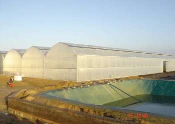 Radove zahradni foliovniky