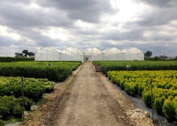 Radove zahradni foliovniky