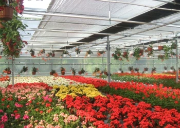 System stinovo-izolacnich clon