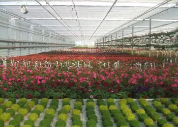 System stinovo-izolacnich clon