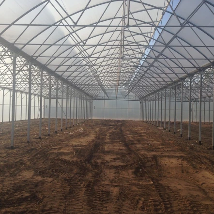 Uzavřené fóliovníky